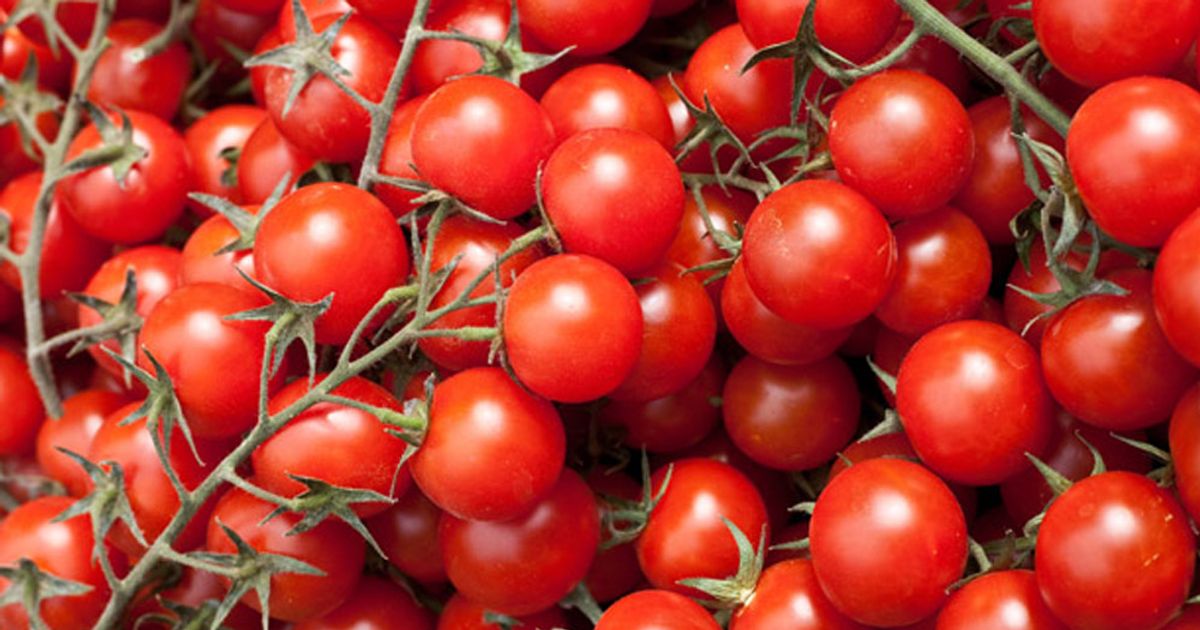 Tomatoes could hold cure to prostate cancer Mirror Online